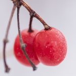 畅享影视大全在线观看官网,海量影片随心看 12z9119