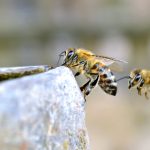 畅享小鸭影音:免费在线电影免费观看平台推荐 3118h1y16m