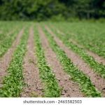 畅享小黄文免费阅读,探索无限精彩故事世界 3a5q4dn1d