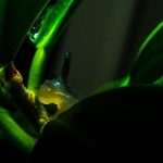 畅享天仙TV在线:尽情体验高清影视盛宴 6egzg