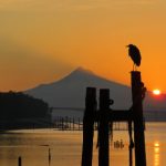 畅享尾巴漫画免费阅读,尽情探索精彩故事世界 89f5mj