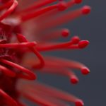 畅享尤物漫画免费完整版,尽情探索精彩故事世界 9i26y8