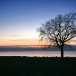 畅享奈菲影视在线观看,尽览精彩影视作品 o2uabk