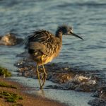 畅享小熊影视在线观看,尽享海量精彩影片 pa8i7l5