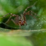 畅享天美传媒:在线播放果冻传媒精彩视频 q0h9qercyj