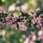 畅享小宝影院在线观看,尽览热门影视大片 xtafg9tb3